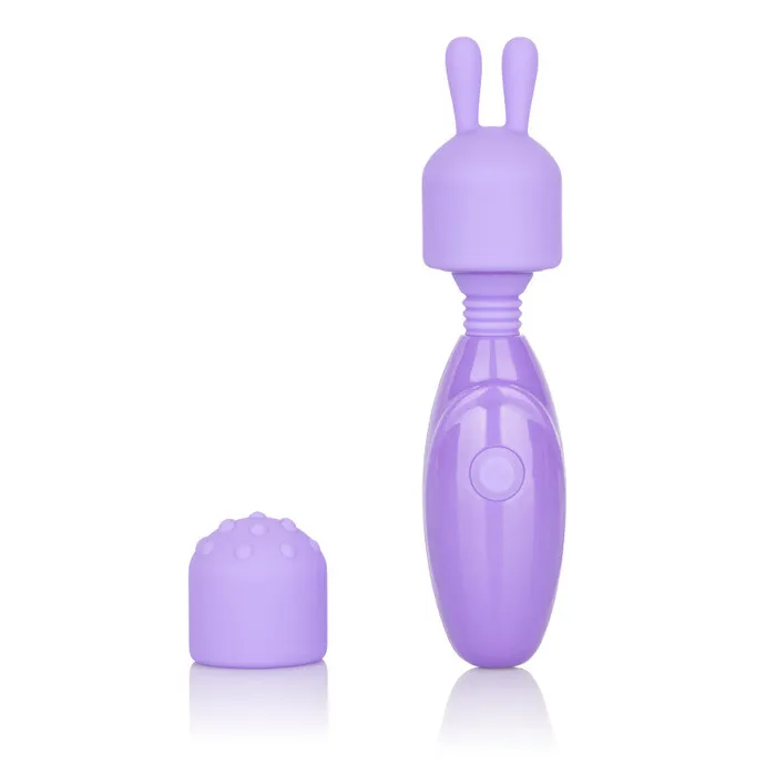 CalExotics Female Sex Toys | Dr. Laura Berman Olivia Rechargeable Mini  Massager With Attachments