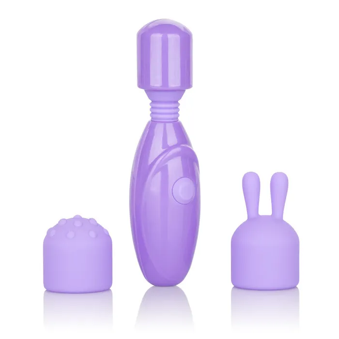 CalExotics Female Sex Toys | Dr. Laura Berman Olivia Rechargeable Mini  Massager With Attachments